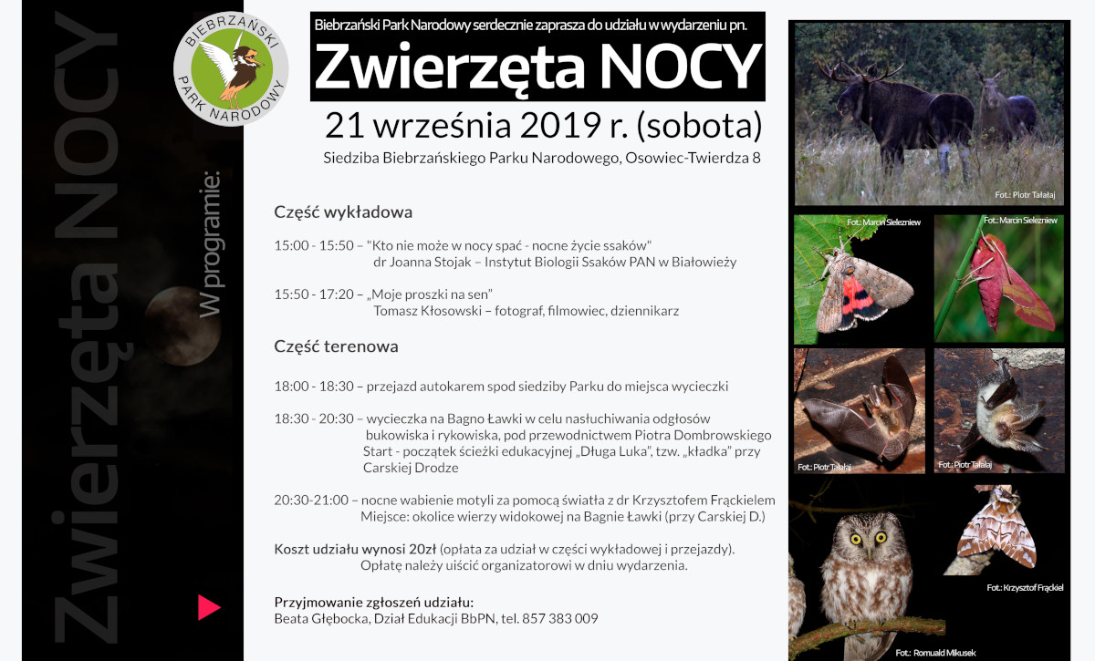 Program BPN Zwierzęta Nocy